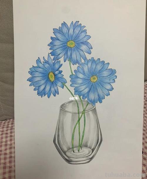 白色雏菊怎么画彩铅 小雏菊素描?