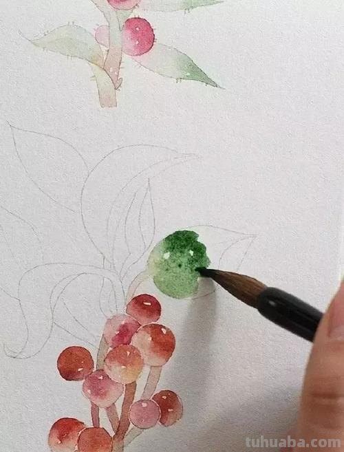 水彩教程来啦~大家都画起来吧~