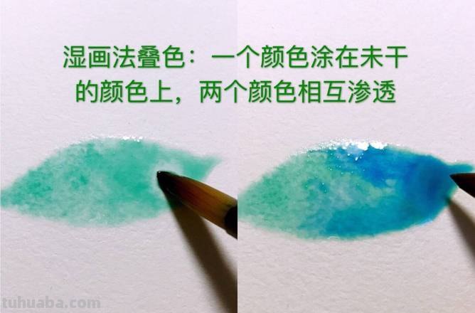 水彩教程来啦~大家都画起来吧~