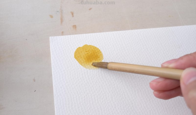 零基础水彩入门不容错过的超详细水彩基础技巧教程