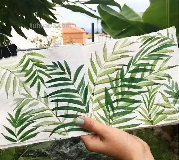 水彩教程｜ins达人教你0级学会水彩画