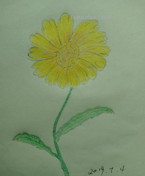 菊花树怎么画彩铅 很茂密的树怎么用彩铅画？