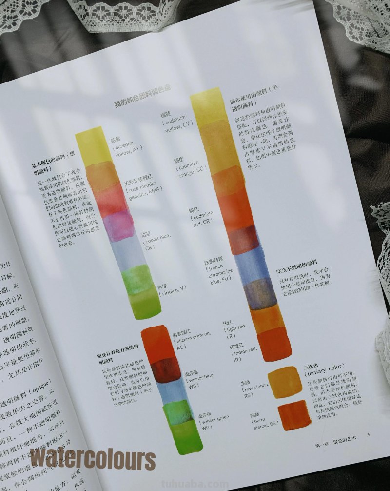 《水彩的艺术》自由的水彩，缤纷的人生