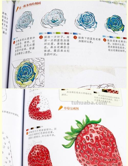 彩铅画怎么打好基础 彩铅画基础入门教程？