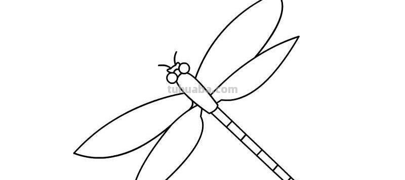 蜻蜓简笔画的画法 蜻蜓简笔画的画法和步骤