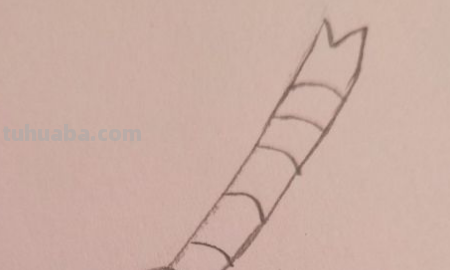 蜻蜓简笔画怎么画