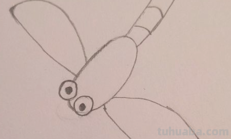 蜻蜓简笔画怎么画