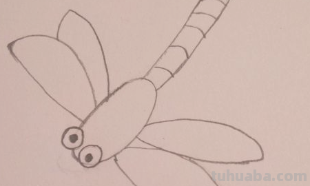 蜻蜓简笔画怎么画