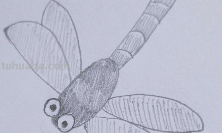 蜻蜓简笔画怎么画