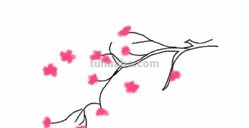 杏花简笔画怎么画 春夏秋冬四季花如何画？