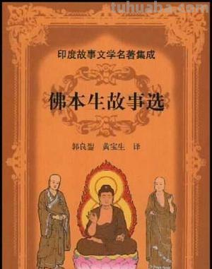 佛和石头的故事的启示 佛和石头的故事的启示是什么