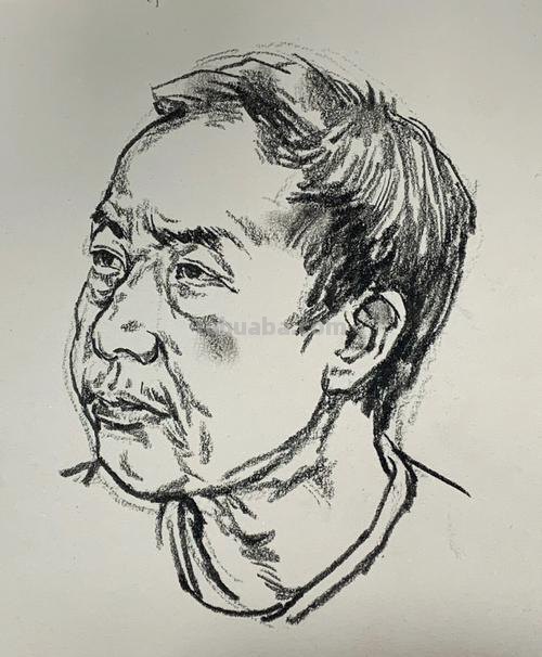 老年速写头 速写，人头，简单，步骤？