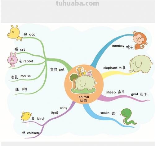 记忆思维导图怎么用 如何用思维导图记英语单词？