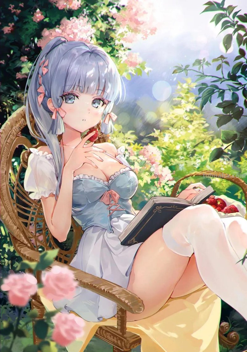 美图集丨第两百四十二期