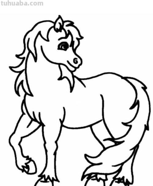 天马怎么画简笔画 马的简笔画画法？