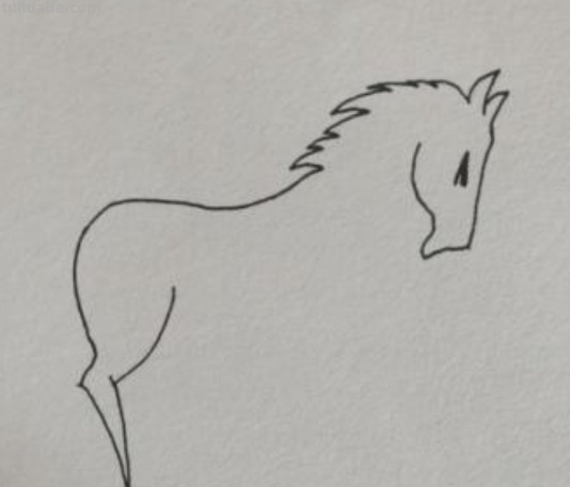 天马怎么画简笔画 马的简笔画画法？