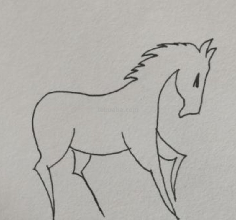 天马怎么画简笔画 马的简笔画画法？