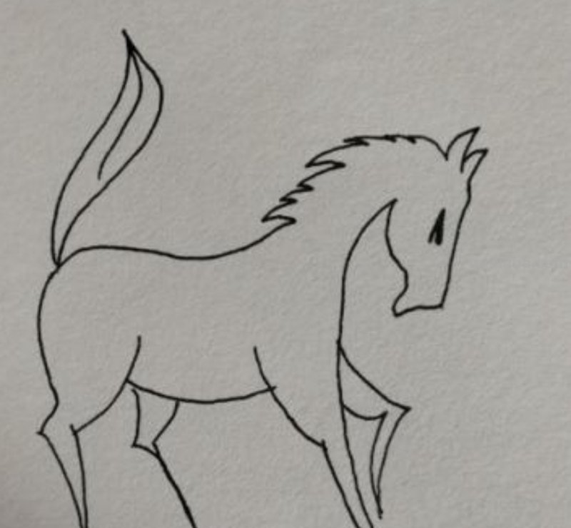 天马怎么画简笔画 马的简笔画画法？