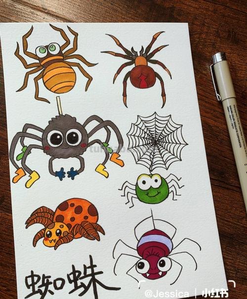蜘蛛怎么画简笔画 蜘蛛怎么画？
