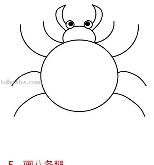 蜘蛛怎么画简笔画 蜘蛛怎么画？