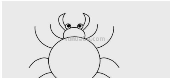 蜘蛛怎么画简笔画 蜘蛛怎么画？