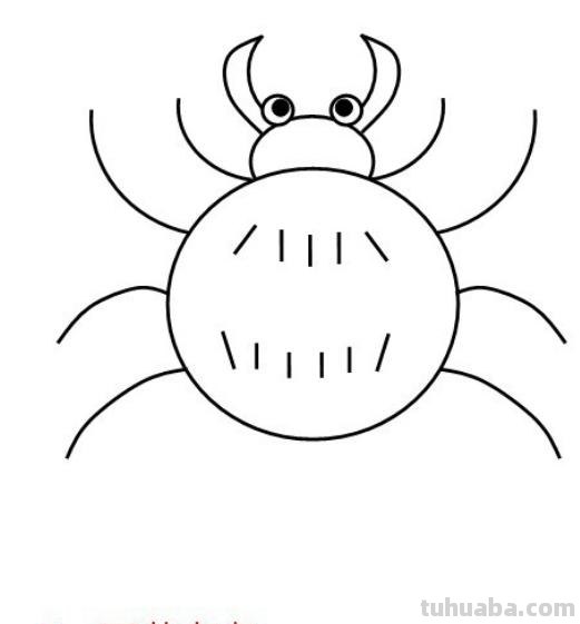蜘蛛怎么画简笔画 蜘蛛怎么画？