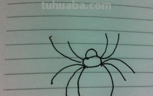 蜘蛛怎么画简笔画 蜘蛛怎么画？