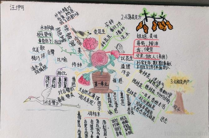 哦思维导图么画 如何快速绘制思维导图？