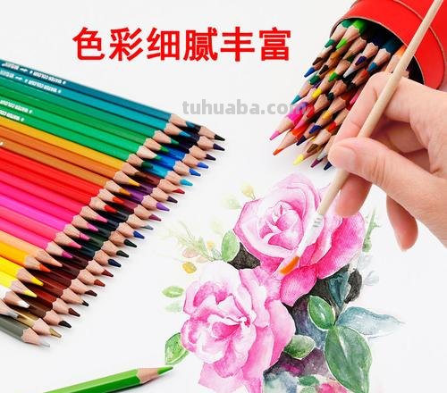 画彩铅用什么铅笔 彩色铅笔是油性铅笔好还是水溶性铅笔好？