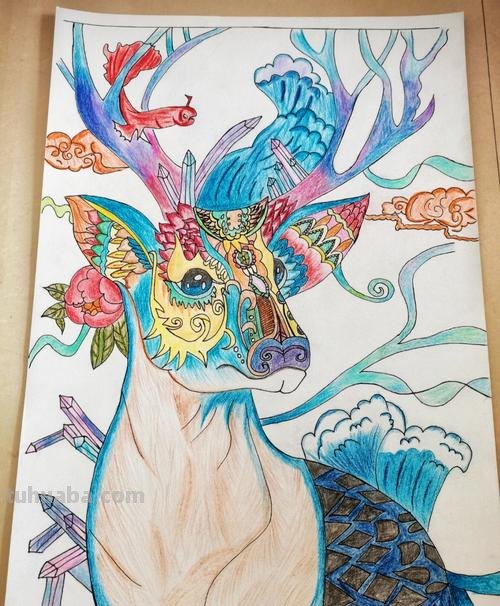 彩铅的鹿怎么画 如何画鹿全身?