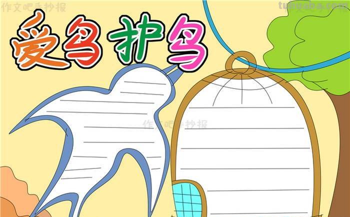 鸟怎么画手抄报 简笔鸟的画？