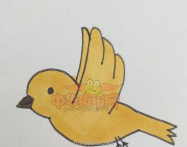 鸟怎么画手抄报 简笔鸟的画？