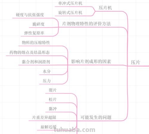 片剂思维导图怎么画 思维导图怎么绘制？