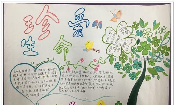 关于什么的手抄报 关于“珍爱生命”的手抄报，都可以写什么内容？