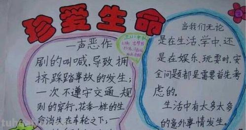 关于什么的手抄报 关于“珍爱生命”的手抄报，都可以写什么内容？