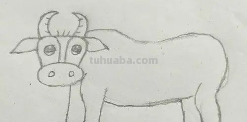奶牛怎么画简笔画 怎么简笔画一只牛？