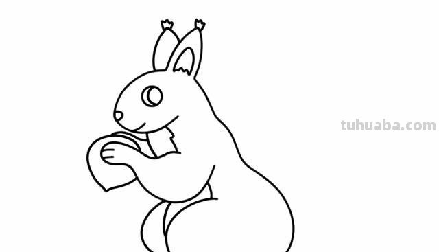 松鼠简笔画怎么画 三年级简单又漂亮的松鼠画？