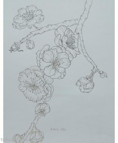 梅花简笔画怎么画 梅花简笔画怎么画，梅花的画法？
