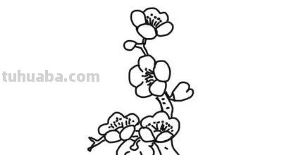 梅花简笔画怎么画 梅花简笔画怎么画，梅花的画法？