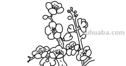 梅花简笔画怎么画 梅花简笔画怎么画，梅花的画法？
