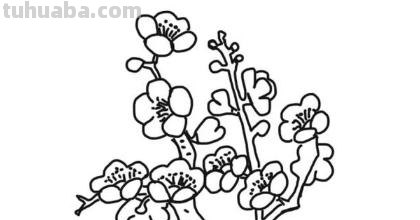 梅花简笔画怎么画 梅花简笔画怎么画，梅花的画法？