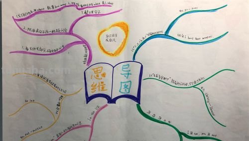 思维导图怎么怎么编辑 思维导图怎么做怎么写？