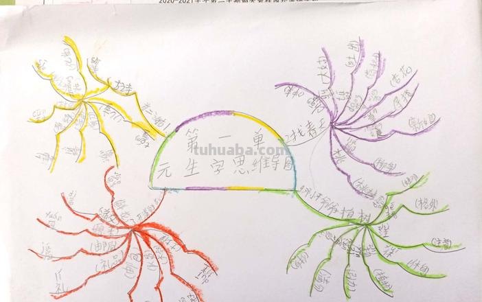 思维导图怎么怎么编辑 思维导图怎么做怎么写？
