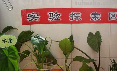 幼儿园区角有哪些? 幼儿园区角有哪些?