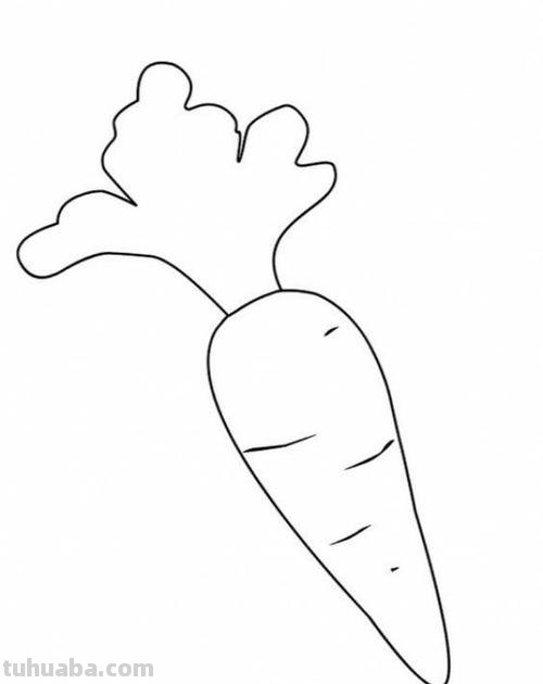 蔬菜怎么画简笔画 胡萝卜简笔画怎么画？