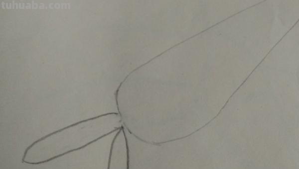 蔬菜怎么画简笔画 胡萝卜简笔画怎么画？