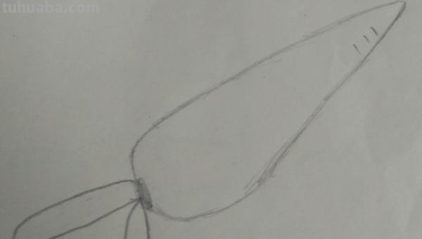 蔬菜怎么画简笔画 胡萝卜简笔画怎么画？