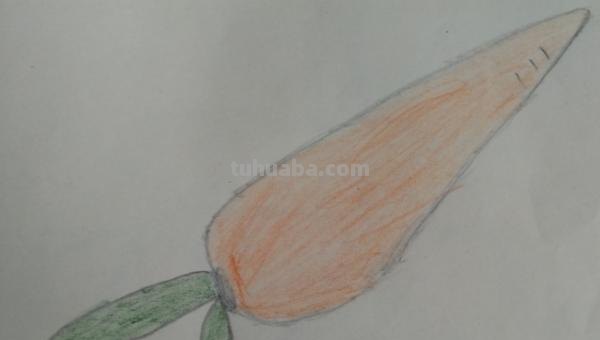 蔬菜怎么画简笔画 胡萝卜简笔画怎么画？