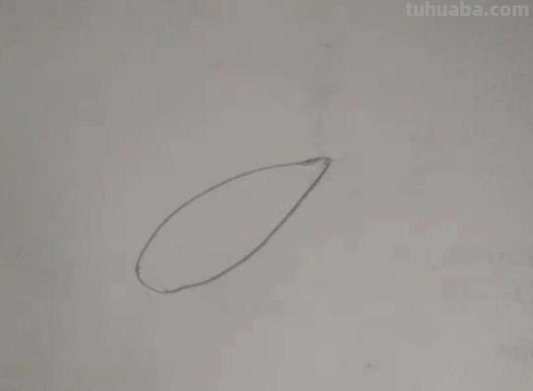 蔬菜怎么画简笔画 胡萝卜简笔画怎么画？