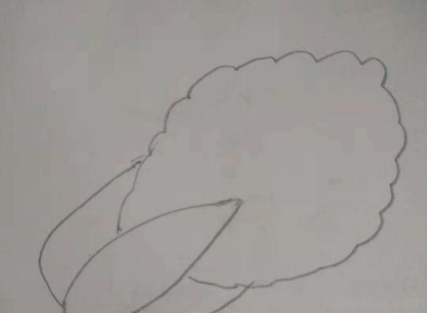 蔬菜怎么画简笔画 胡萝卜简笔画怎么画？